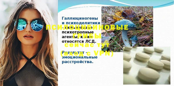 винт Алексеевка