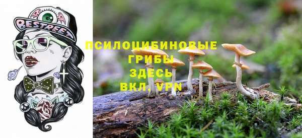 винт Алексеевка
