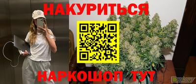 ешки Бердск