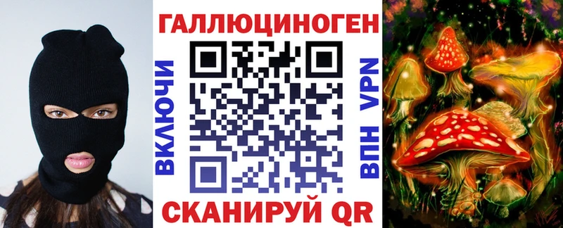 цена Аргун Галлюциногенные грибы Psilocybe