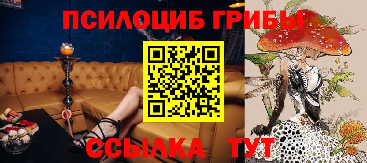Галлюциногенные грибы прущие грибы  Вход с VPN  Аргун 