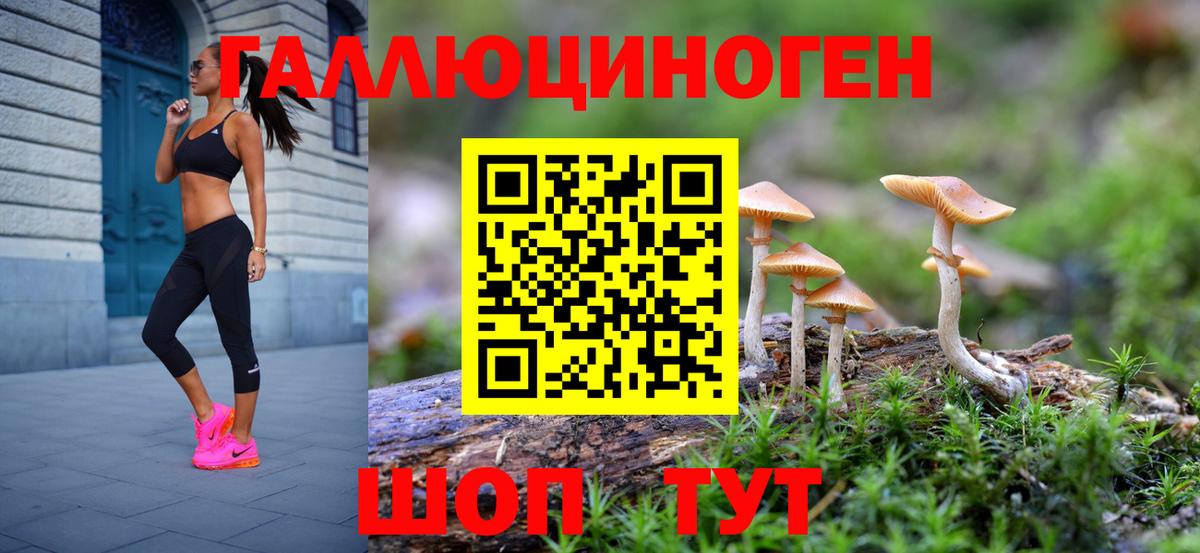 Галлюциногенные грибы MAGIC MUSHROOMS Аргун