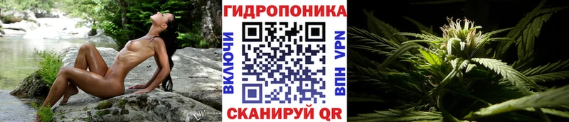 Конопля планчик  это какой сайт  Аргун  omg сайт 